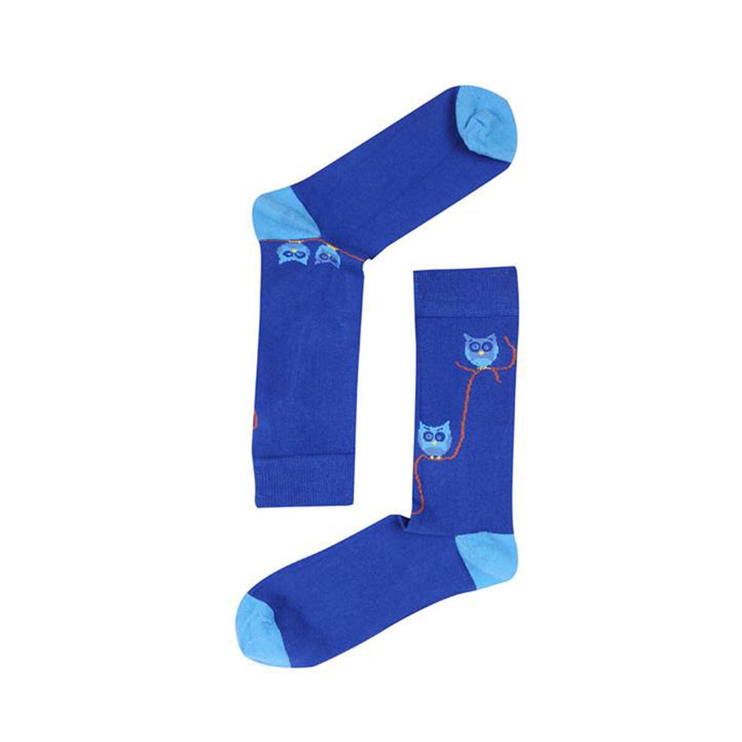 The Socks Company Wise Birds Unisex Çorap 15KDCR107E Saks-Açık Mavi
