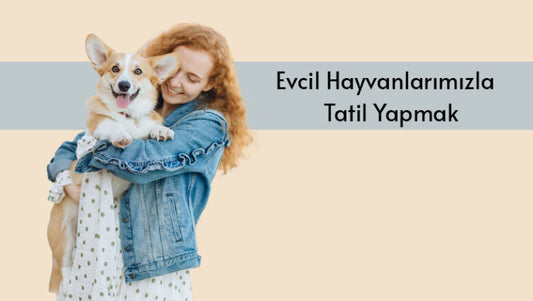 Evcil Hayvanlarınızla Tatil Yapmak