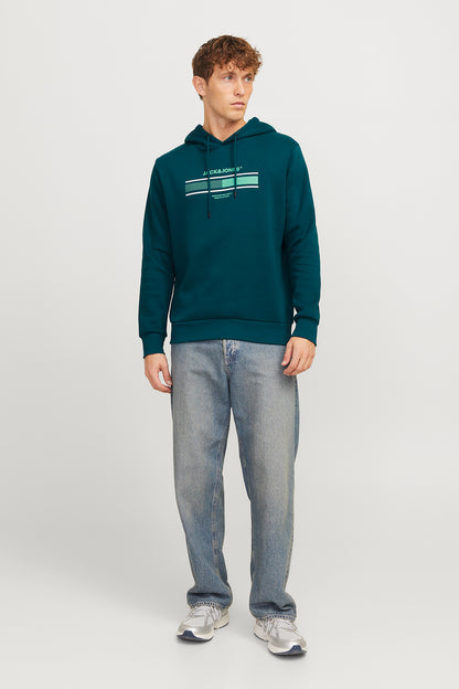 Jack & Jones Jjsouth Baskılı Pamuklu Regular Fit Kapüşonlu Erkek Sweat 12256820 PETROL