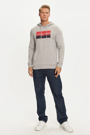 Jack & Jones Jjnolan Pamuklu Baskılı Relaxed Fit Kapüşonlu Erkek Sweat 12256849 AÇIK GRİ